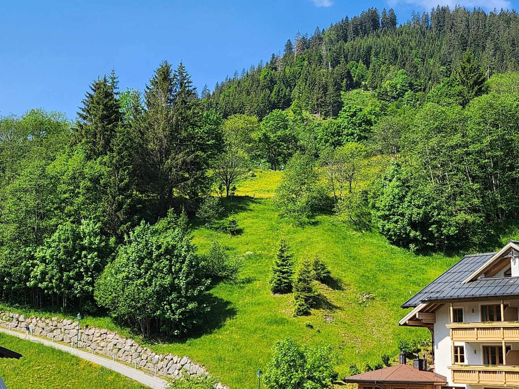Leni'S Mountain Appartements Dienten am Hochkoenig Ngoại thất bức ảnh